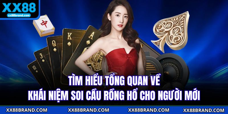 Tìm hiểu tổng quan về khái niệm soi cầu rồng hổ cho người mới